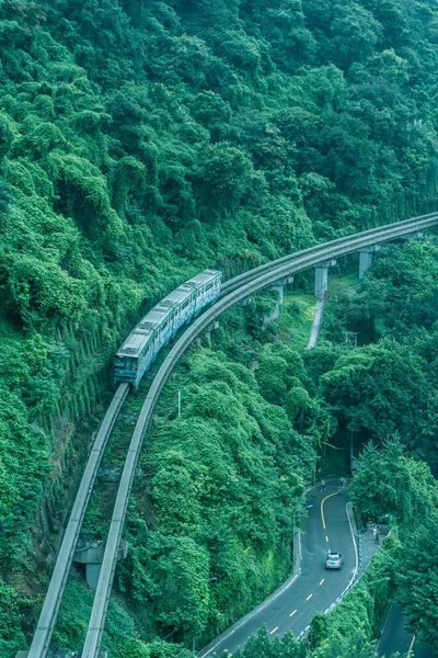 aerial view of the bridge in the forest