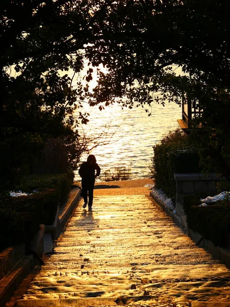 silhouette of a man and woman walking on the bridge