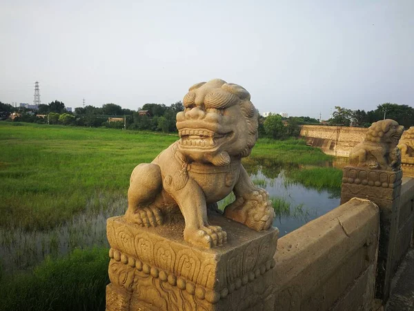 the lion statue in the city of thailand