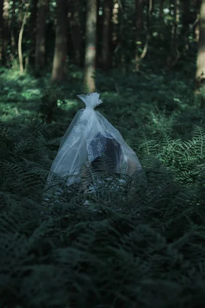 a young woman in a black dress with a bag in the forest