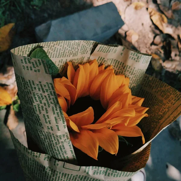 stock image beautiful flowers in the garden