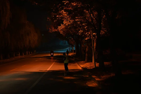 night view of the city of the park in the evening