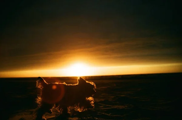 beautiful sunset on the beach