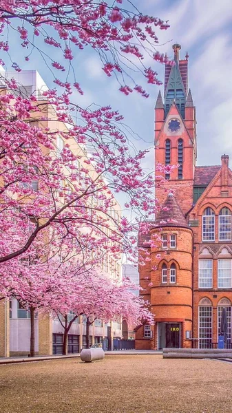 pink brick building in the city of amsterdam