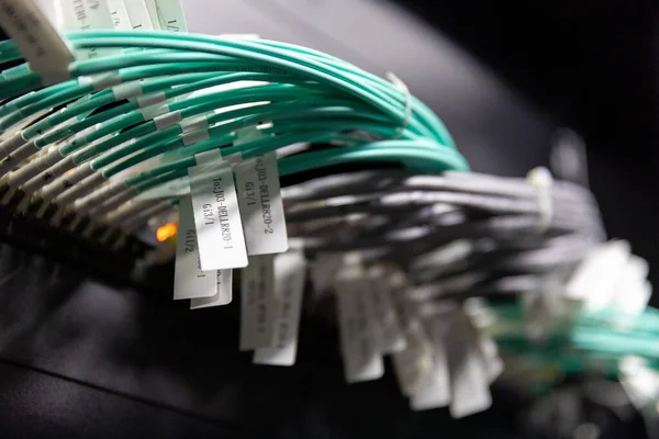 close-up of a network cables connected to a computer switch