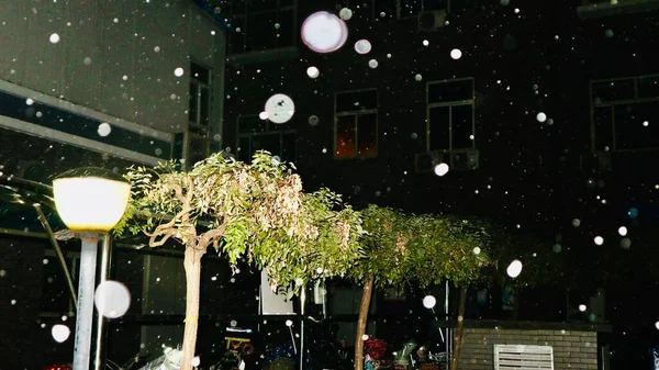 stock image christmas decoration, snow and trees