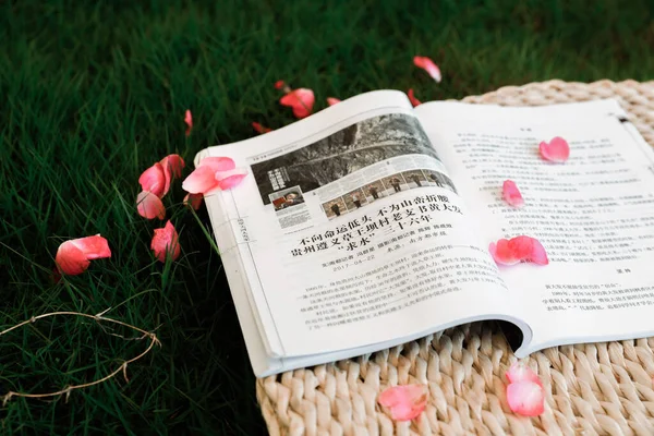 book with bible and flowers on the grass