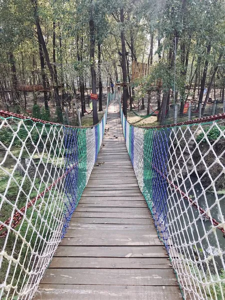 Stock image bridge in the park