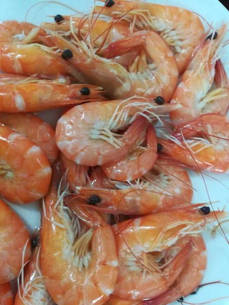 fresh shrimps on a white background