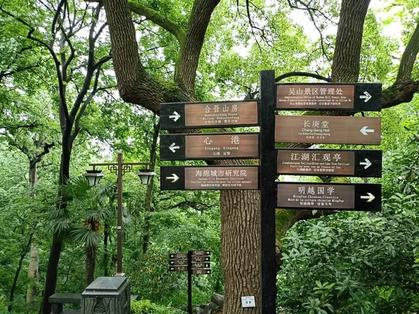 a vertical shot of a wooden signpost with a green background