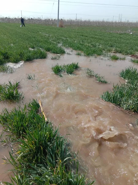 water irrigation on the river bank