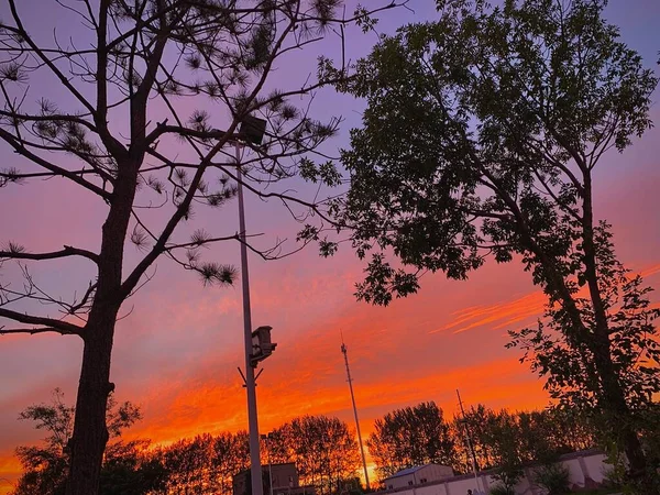 Stock image beautiful sunset over the lake