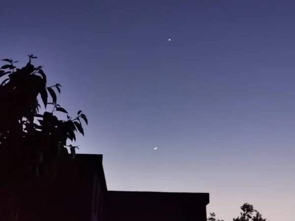 silhouette of a tree on the roof of the house