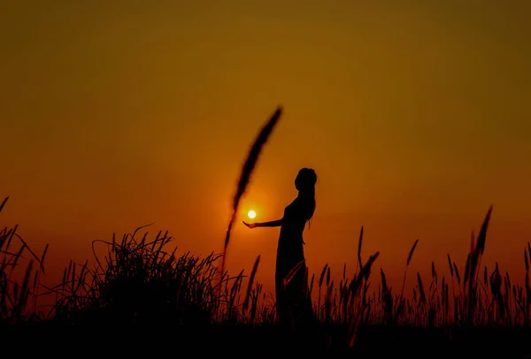 silhouette of a man with a sword on a sunset background