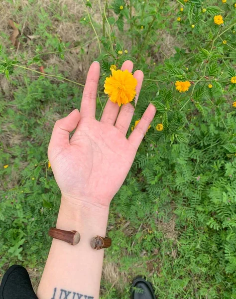 hand holding a flower in the hands of a woman