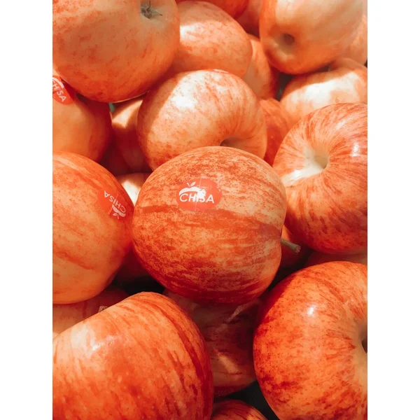 fresh ripe peaches on a white background