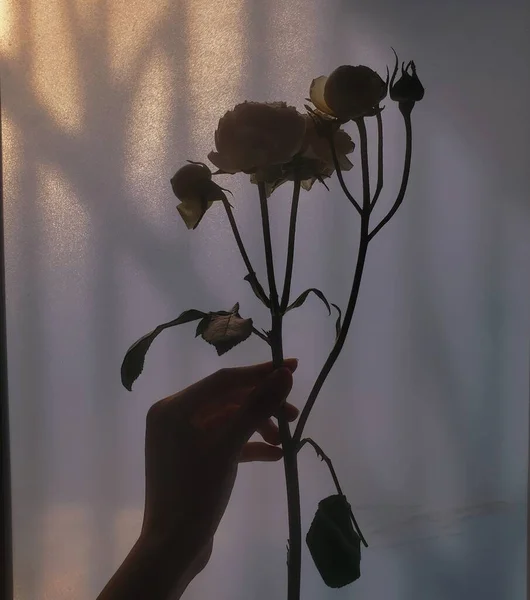 beautiful silhouette of a woman with a bouquet of flowers