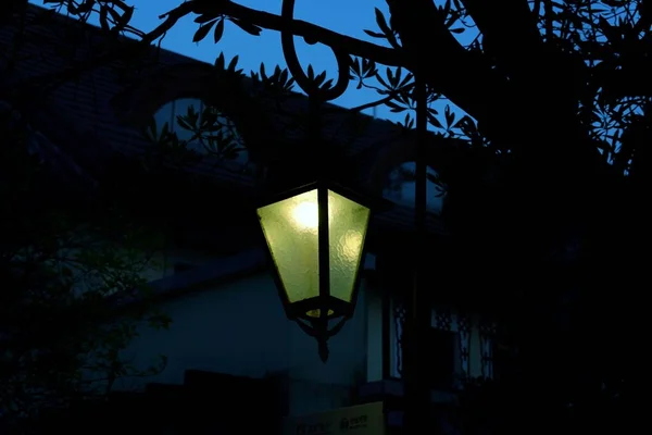 street lamp in the night sky