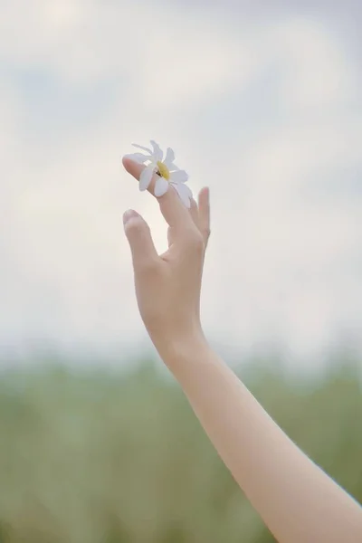 woman hand holding a flower in the hands of a child