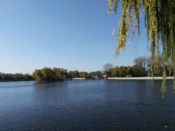 stock image beautiful view of the lake in the park