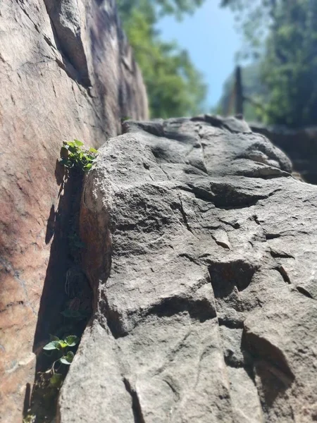 rock climber in the mountains