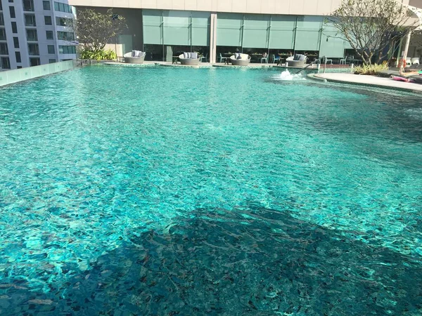 swimming pool in the hotel