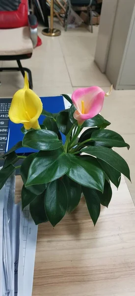 beautiful workplace with flowers and laptop