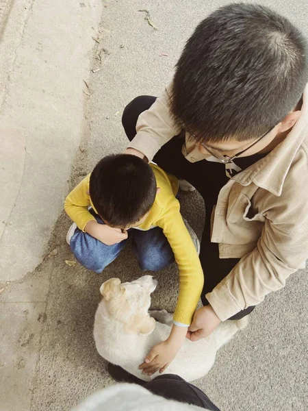 father and son playing with their dog