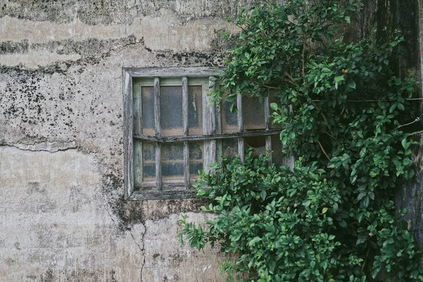 old window with a green wall