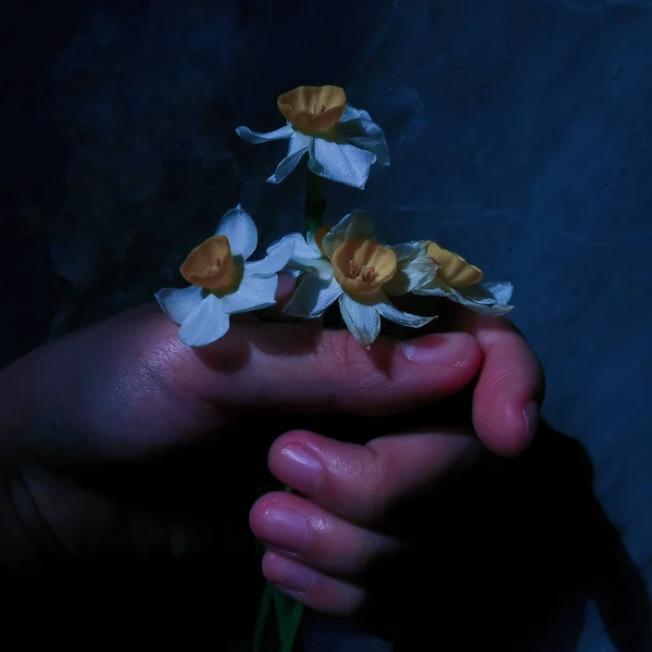 a woman\'s hand holding a flower
