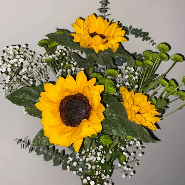 beautiful bouquet of sunflowers on a white background