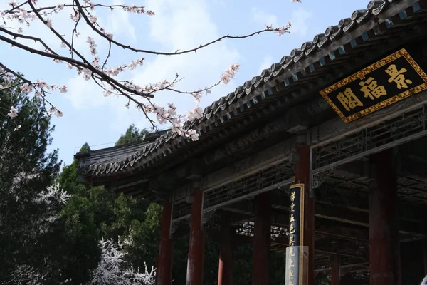 stock image the forbidden city in the park