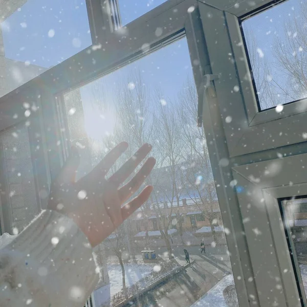 winter landscape with snow and window