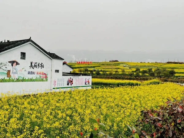 beautiful landscape with a field of flowers and a house