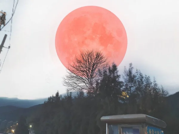 beautiful landscape with a moon and a tree