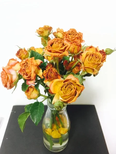 beautiful bouquet of roses in a vase on a white background