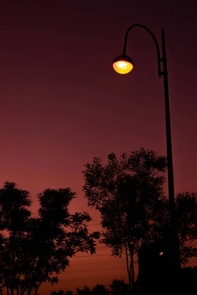silhouette of a street lamp on a background of sunset