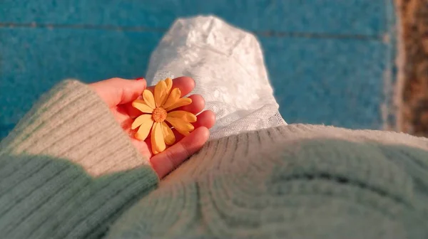 woman hand holding a flower on a wooden background