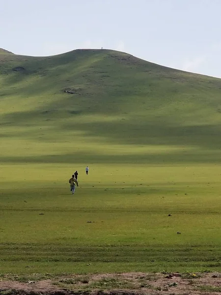 a beautiful shot of a young man in the field