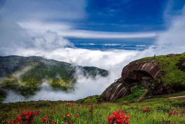 beautiful landscape with a waterfall