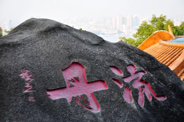 red cat and a dragon in the background of a stone wall