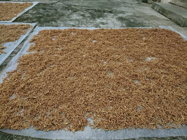 a closeup shot of a pile of spices in a field