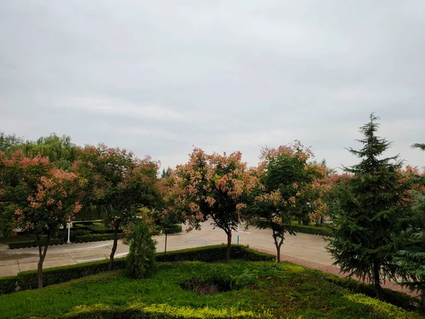 stock image beautiful view of the park in the city