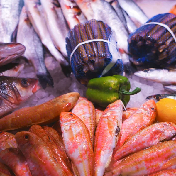 close up of fresh seafood at market
