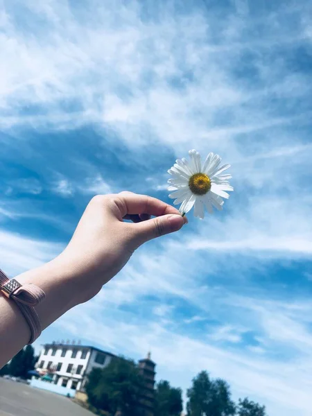 hand holding a flower in the hands of a woman