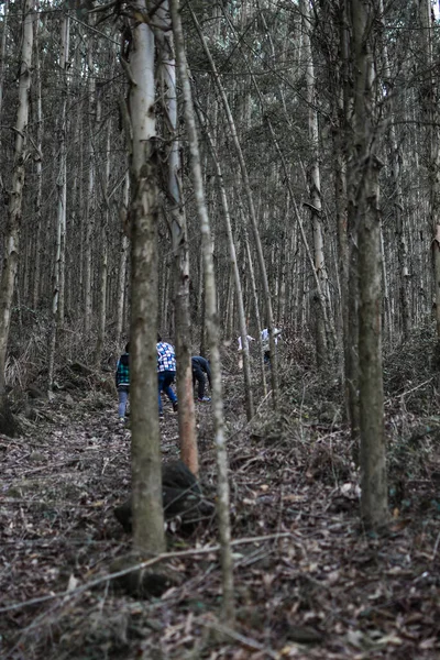 a group of people in the forest