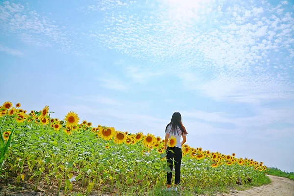 young woman with sunflower field in the background