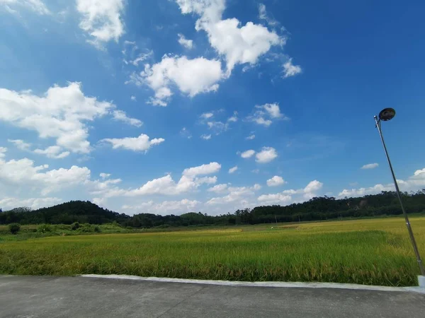 beautiful landscape with a road and a blue sky