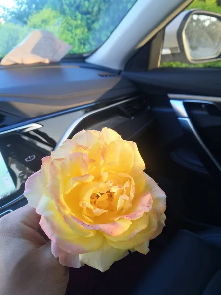 beautiful wedding bouquet of roses in the car