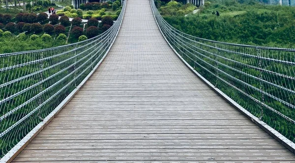 wooden bridge in the forest